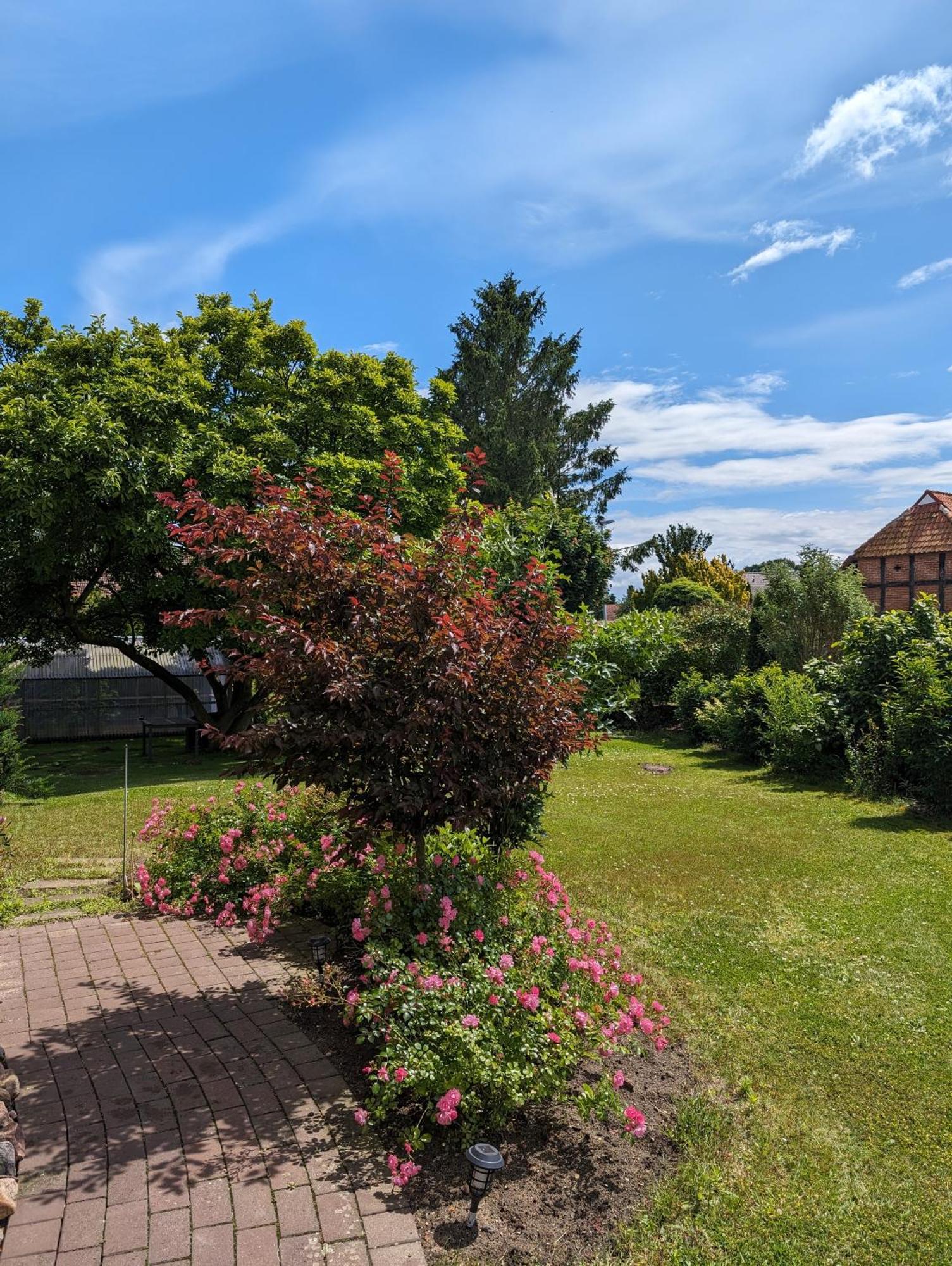 Ferienwohnung Bullersberg Balge Екстериор снимка