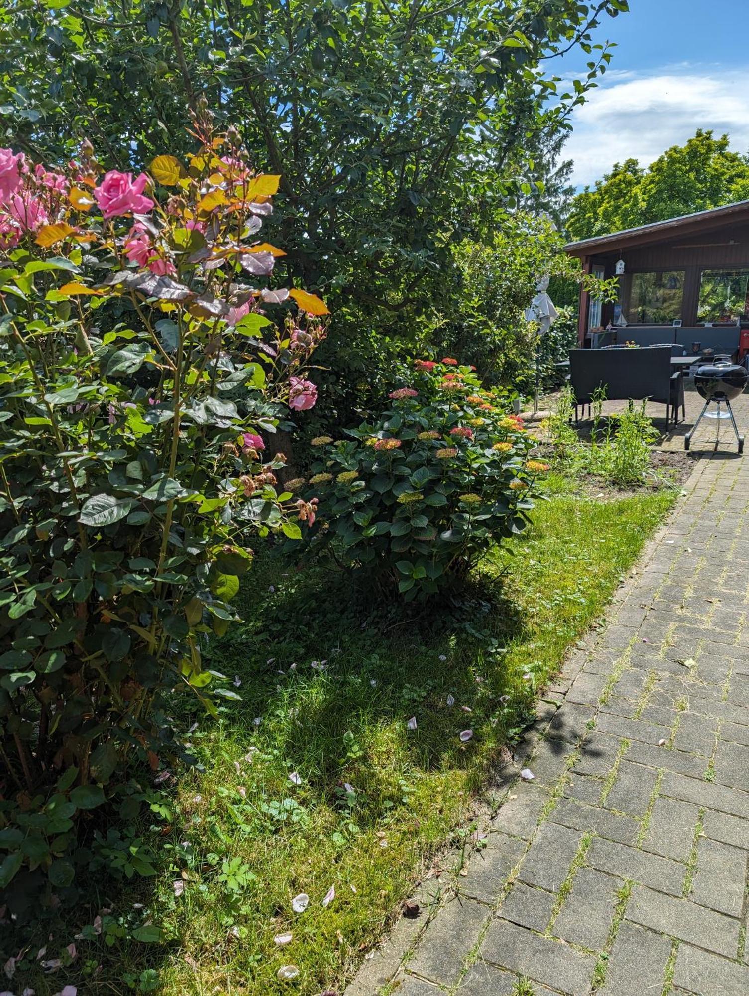 Ferienwohnung Bullersberg Balge Екстериор снимка